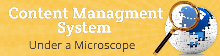 Content Management Systems Under a Microscope