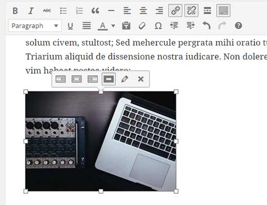 inline_image_editing_toolbar