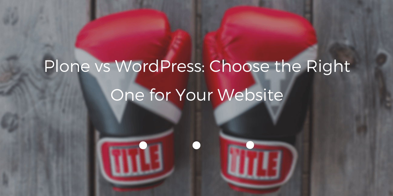 Plone vs WordPress: Choose the Right One for Your Website