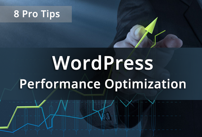 WordPress Performance Optimization. 8 Pro Tips