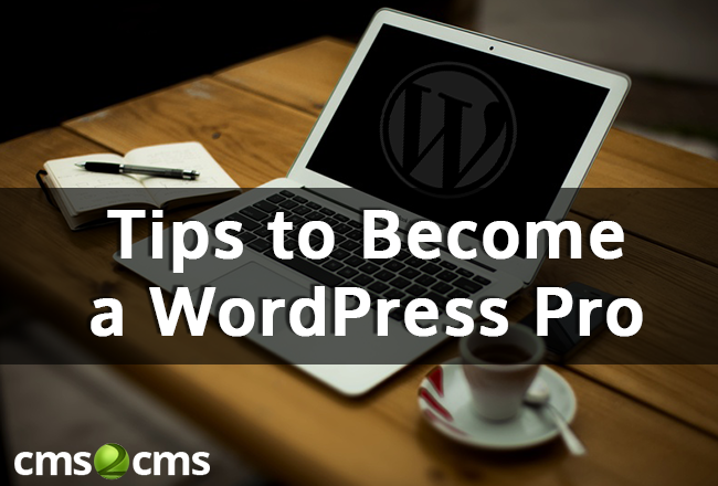 Tips to Become a WordPress Pro