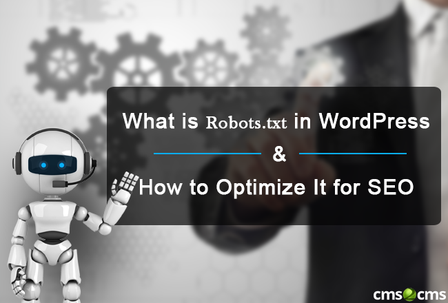 What is Robots.txt in WordPress & How to Optimize It for SEO