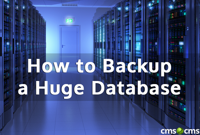 How to Backup a Huge Database