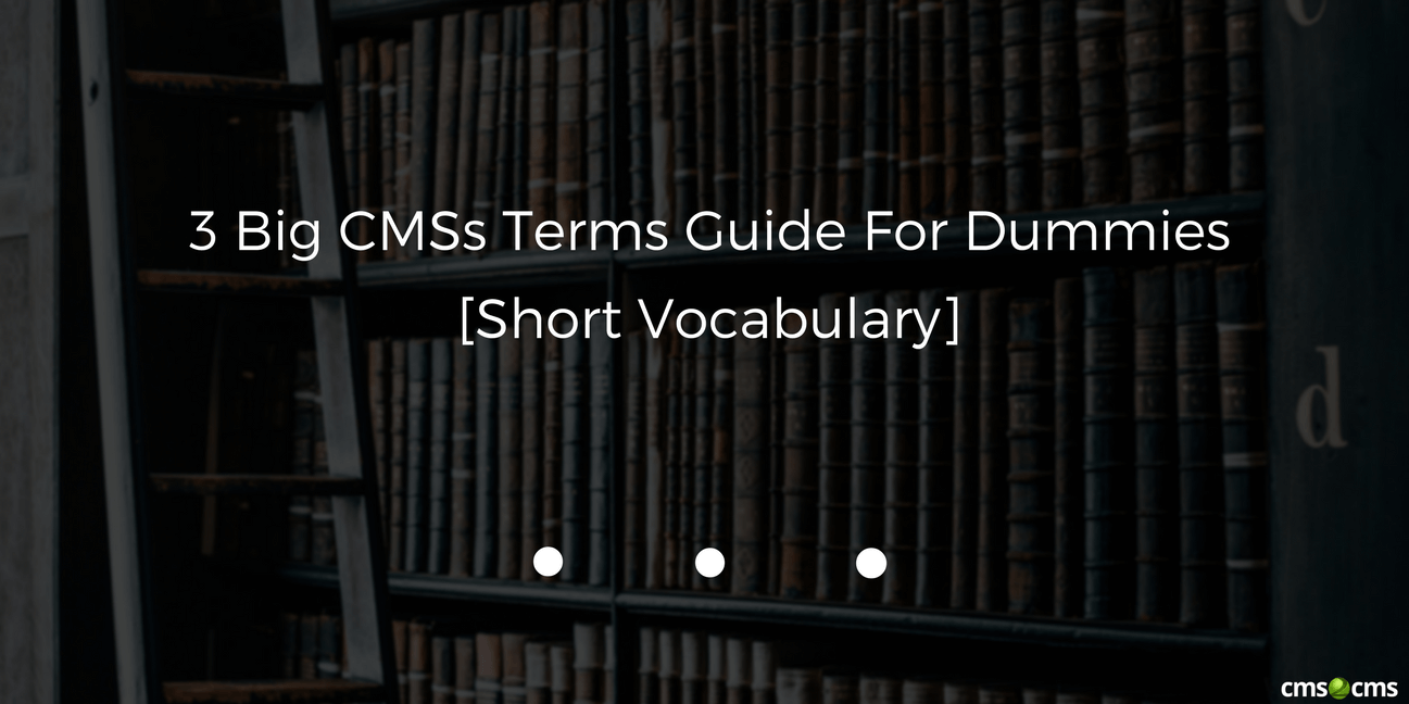 3-big-cmss-terms-for-dummies-short-vocabulary