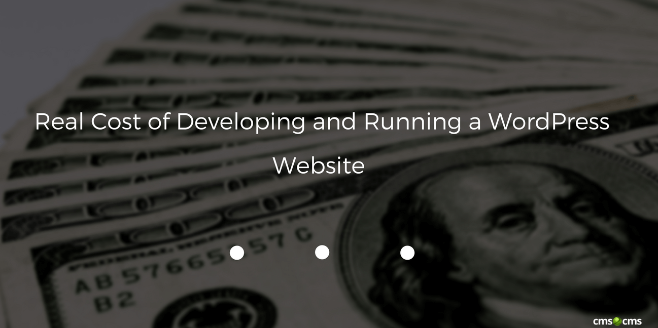 Real Cost of Developing and Running a WordPress Website [2021 update]